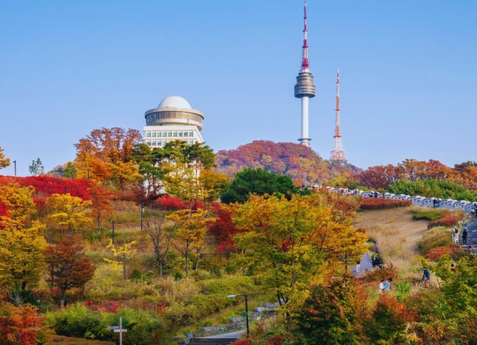 TIK Vision and Values