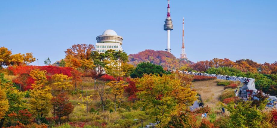 TIK Vision and Values